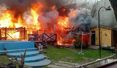 Ocho caniches murieron calcinados en un incendio en Los Hornos