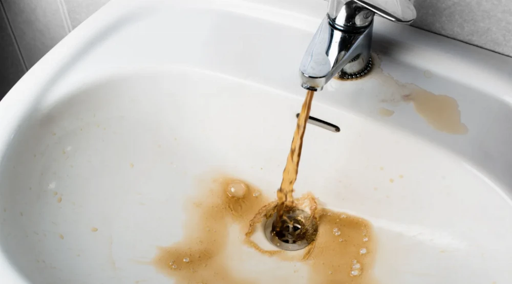 Vecinos de La Plata denuncian que el agua sale de sus canillas con el color de un licor irlandés