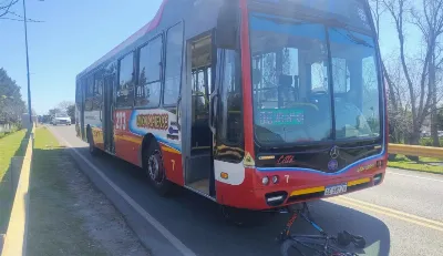 Un ciclista resultó herido en Gonnet tras ser atropellado por un micro 273