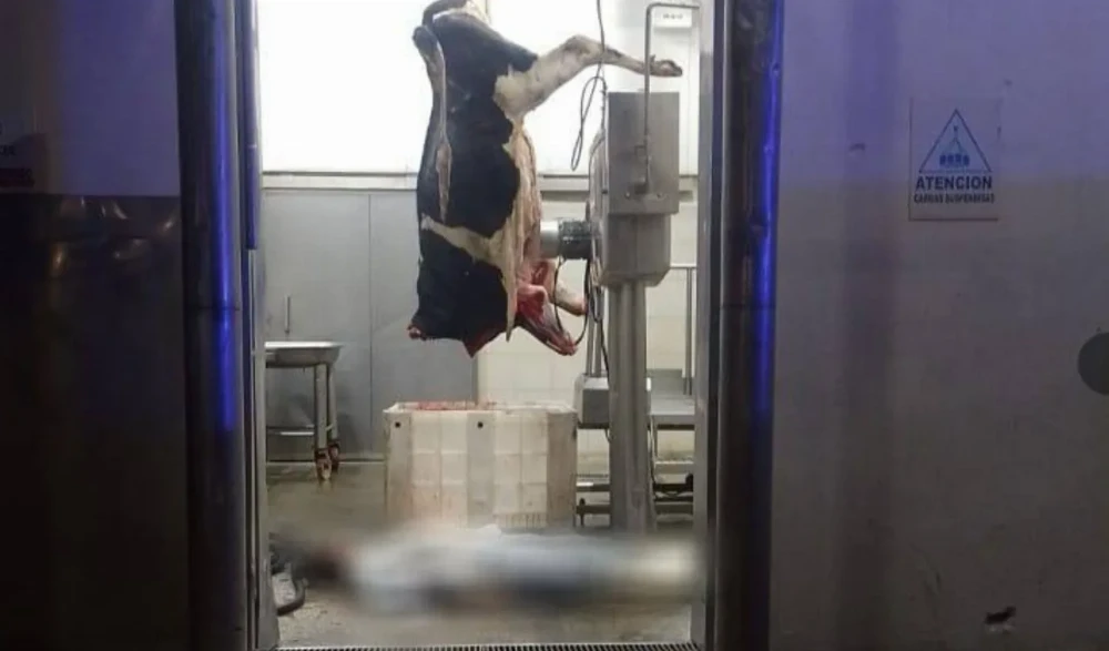 Tragedia en el Frigorífico Gorina: un trabajador se descompensó y murió mientras despostaba una vaca