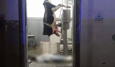 Tragedia en el Frigorífico Gorina: un trabajador se descompensó y murió mientras despostaba una vaca