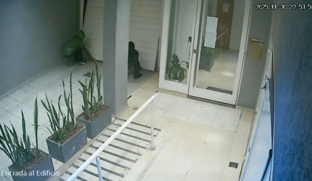 Dos ladrones intentaron romper el portón de un edificio de La Plata para robar, pero los echaron a los gritos