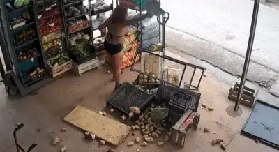 Pánico en por una mujer que destrozó una verdulería con un ladrillo y quiso golpear a una vecina