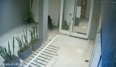 Dos ladrones intentaron romper el portón de un edificio de La Plata para robar, pero los echaron a los gritos