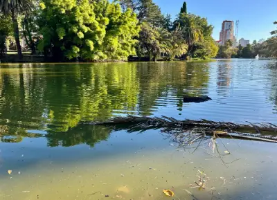 Actualizaron el mapa de cianobacterias y la región no tiene sectores en alerta