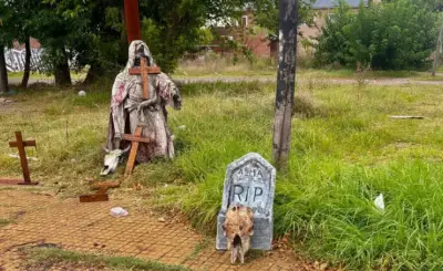 Apareció una lápida con restos de animales cerca del Hospital San Martín en La Plata