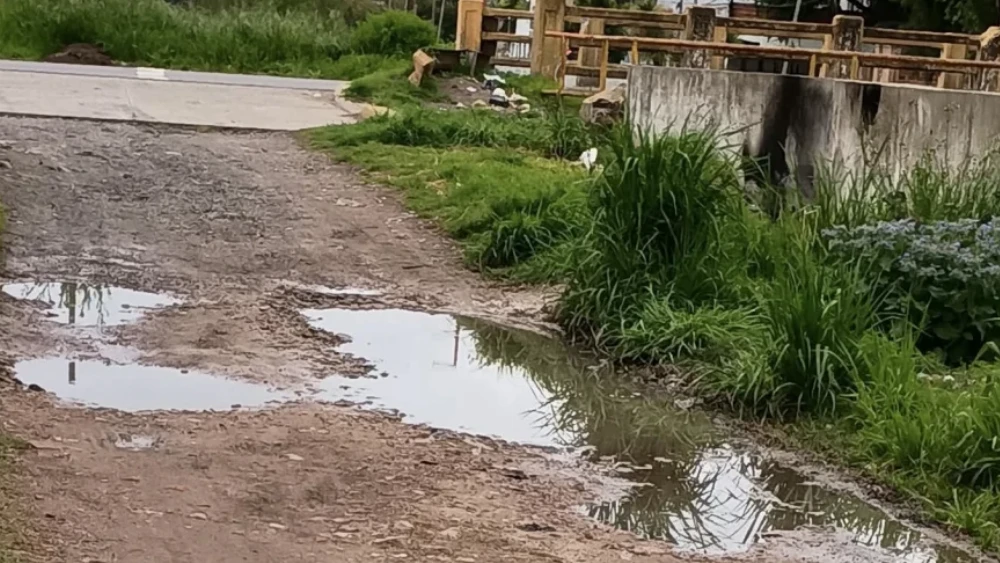 Sufrió un ACV y denuncia que no puede salir de su casa por el estado de la calle