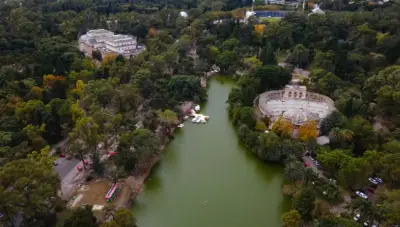 Comenzó la puesta en valor del Bosque
